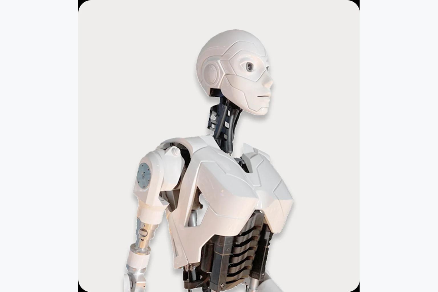 Cyberstein K-NA