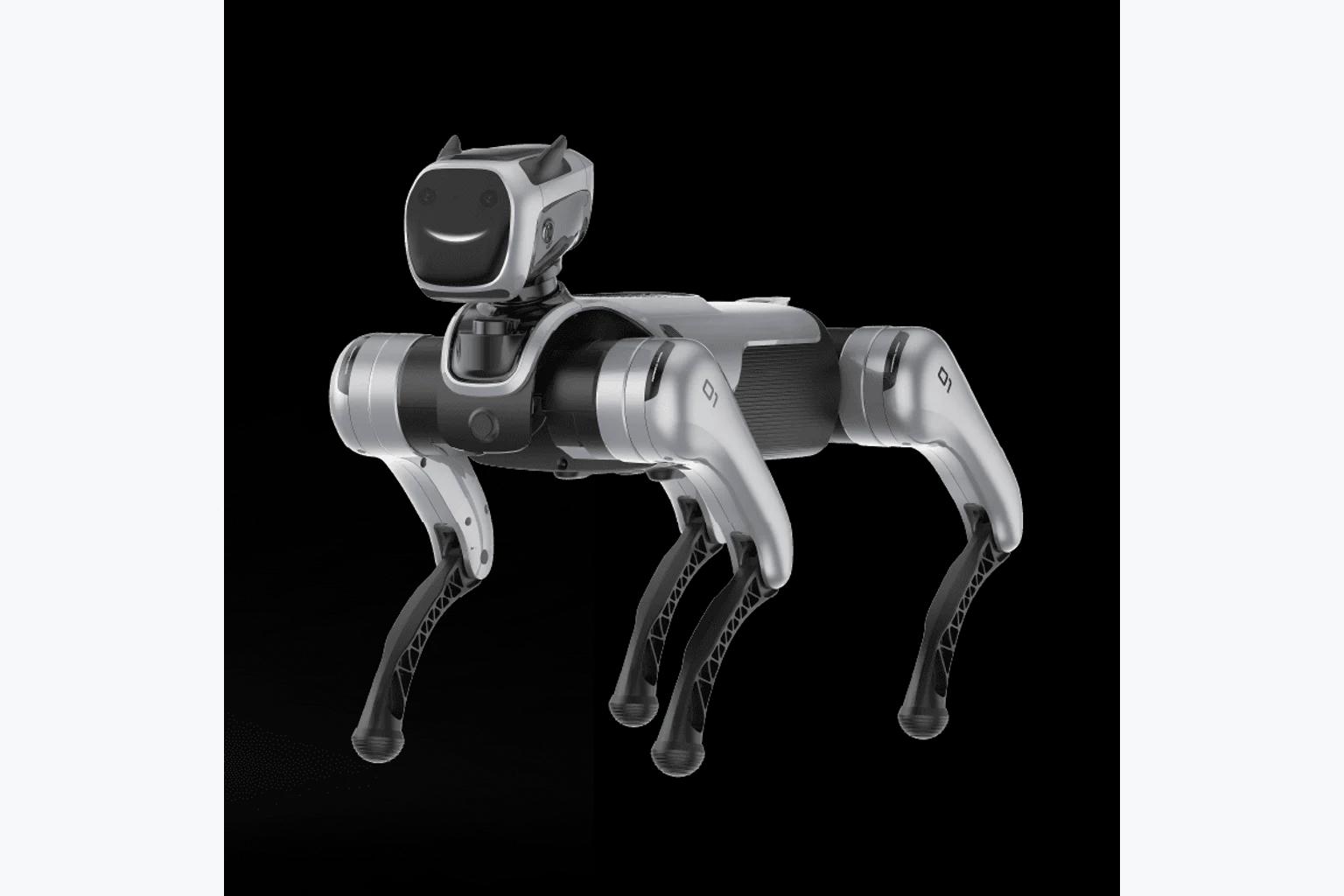 Magiclab MagicDog Edu