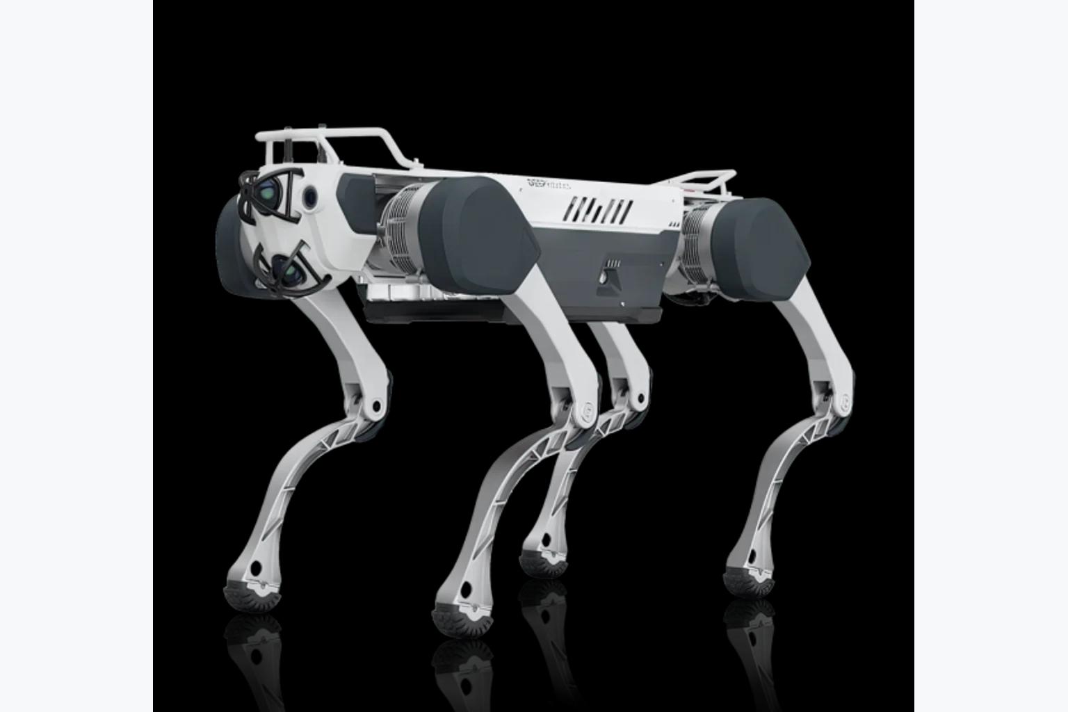Робот Deep Robotics X30 Basic