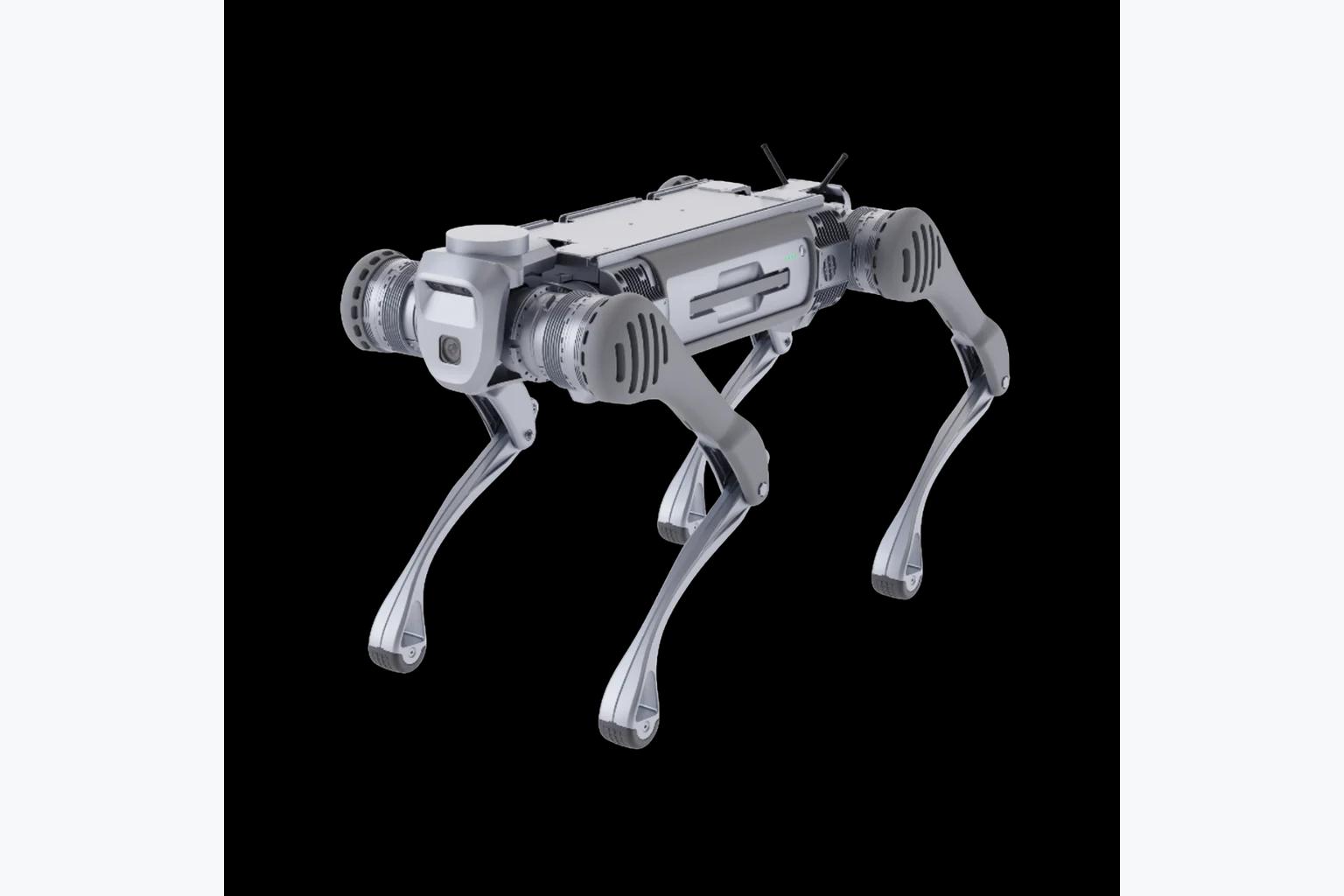 Unitree B2 Roboterhund